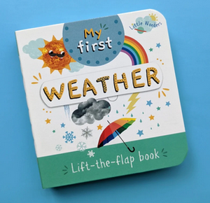 My First Mini Lift-the-Flap Book -