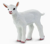 Goat Kid