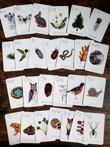 Backyard Nature Alphabet Flashcards, Set of 26