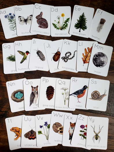 Backyard Nature Alphabet Flashcards, Set of 26