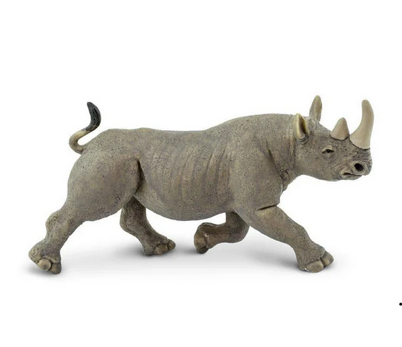 Black Rhino