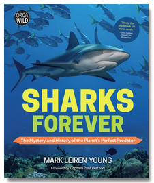 Sharks Forever: The Mystery and History of the Planet’s Perfect Predator