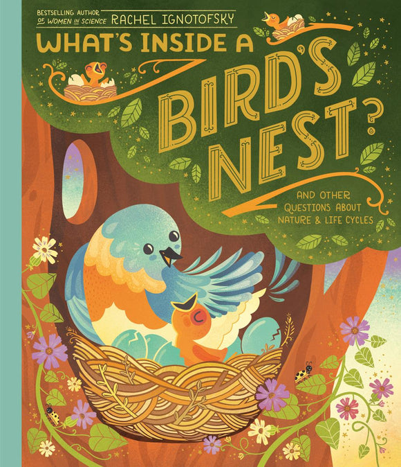 What's Inside a Bird's Nest? And Other Questions About Nature & Life Cycles