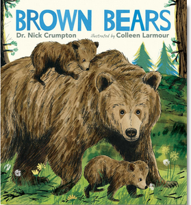 Brown Bears