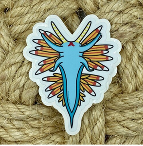 Vinyl Sticker - Opalescent Nudibranch - 4.0"