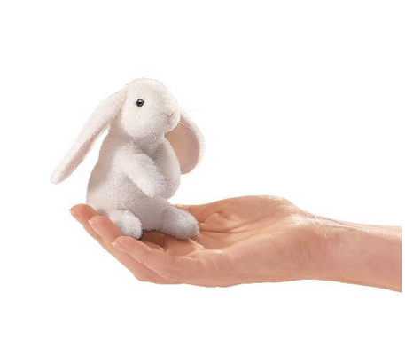 Mini Lop Ear Rabbit