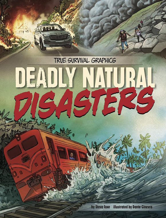 Deadly Natural Disasters: A True Survival Graphic Novel