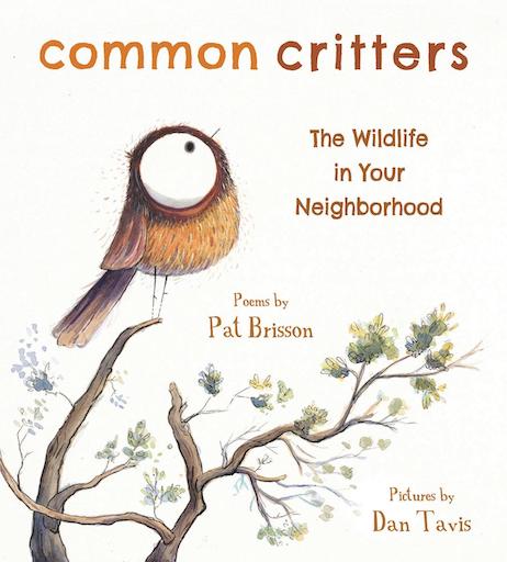 Common Critters - The Wildlife in Your Neighbourhood