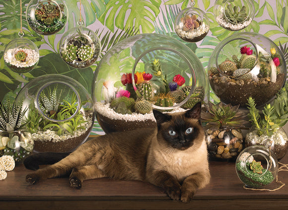 Terrarium Cat 1000pc (2023)