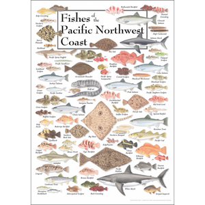 Fishes of the Pacific Northwest Coast – Poster