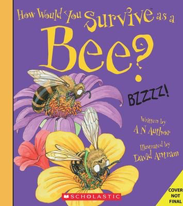 How Would You Survive as a Bee?