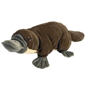 Platypus Stuffed Animal - 12"