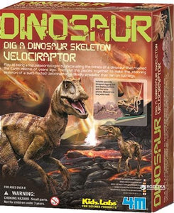 Dig a Velociraptor