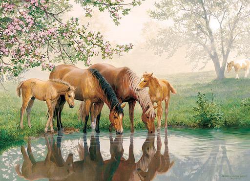 Family Puzzle - Horse Family 350pc