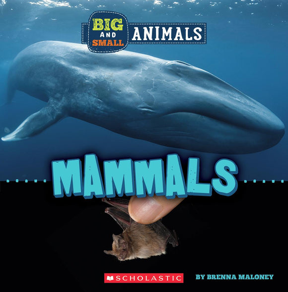 Big and Small: Mammals