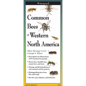 Common Bees of Western North America Field Guide