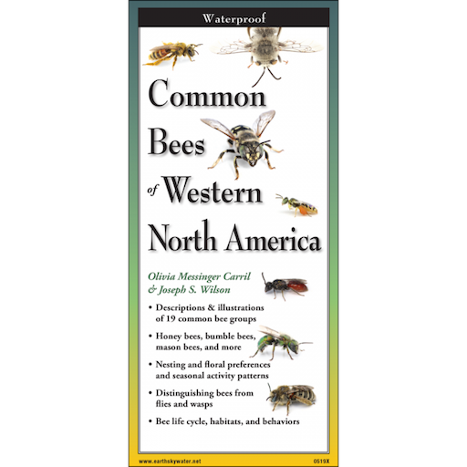 Common Bees of Western North America Field Guide
