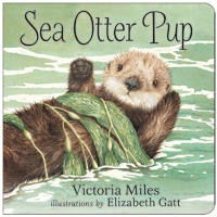 Sea Otter Pup (BB)