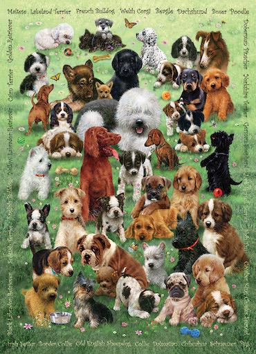 Family Puzzle - Puppy Love 350pc (2023)