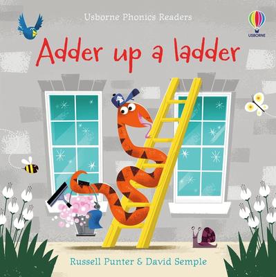 Usborne Phonics Readers: Adder Up A Ladder
