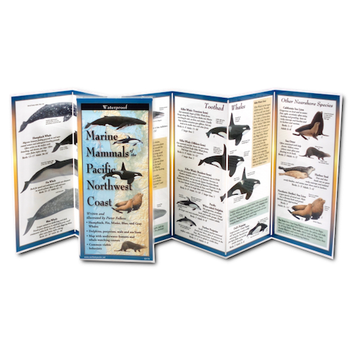 Marine Mammals of the Pacific Northwest Coast: A Waterproof Field Guid ...