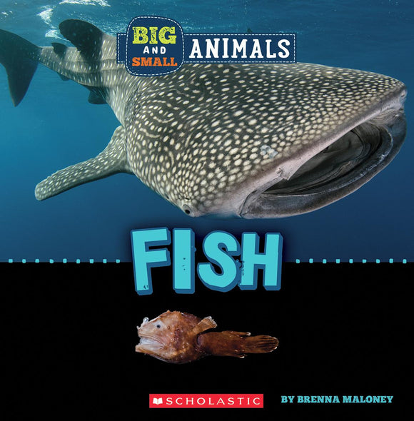 Big and Small: Fish
