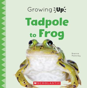 Explore the Life Cycle!: Tadpole to Frog (Growing Up)