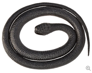 Rubber Snake 42" Black Mamba