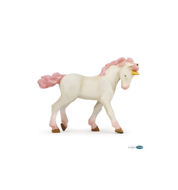 Young Unicorn