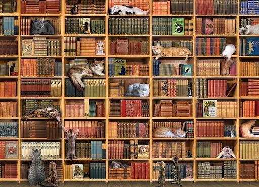 The Cat Library 1000pc (2023)