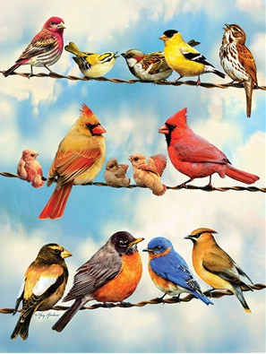 Birds on a Wire 500pc