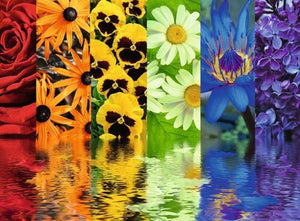 Floral Reflections 500 pcs