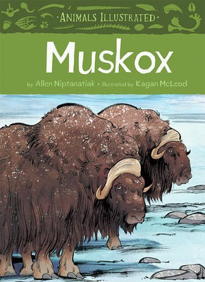 Animal Illustrated: Muskox