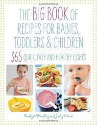 Big Book of 365 Recipes for Babies, Toddlers & Children