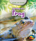 Life Story of a Frog: Animal Life Stories