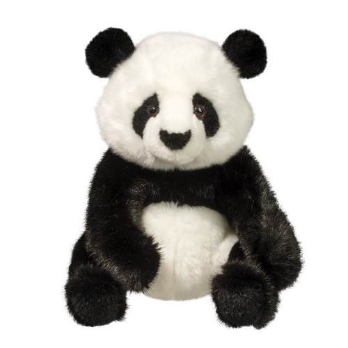 Paya Panda 11