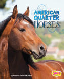 American Quarter Horses