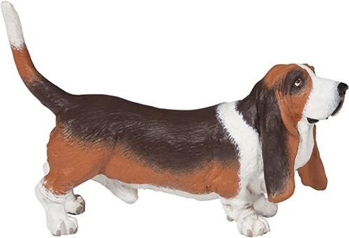 Basset Hound