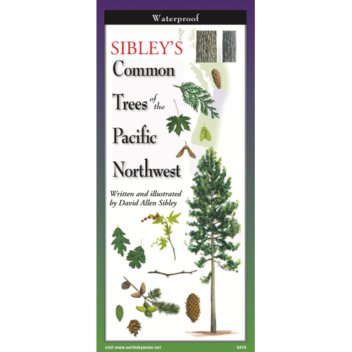 Sibley’s Common Trees of the Pacific Northwest Field Guide