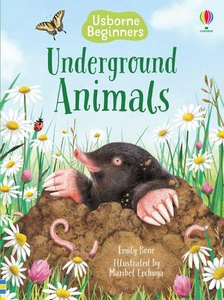 Usborne Beginners: Underground Animals