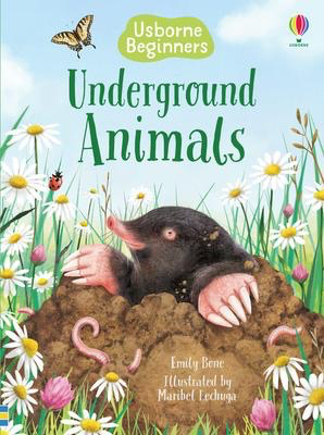 Usborne Beginners: Underground Animals