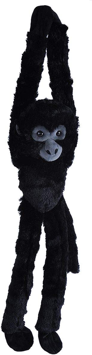 Hanging  Spider Monkey Black 20