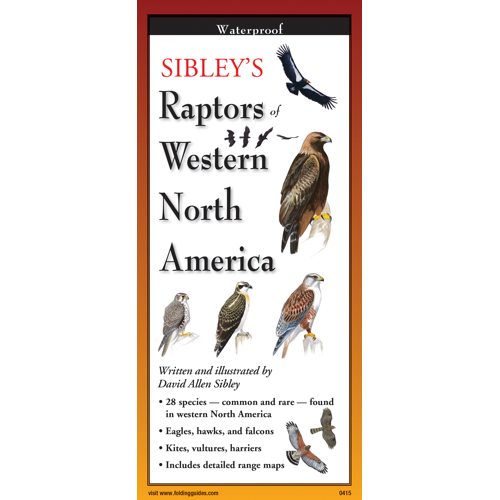 Sibley’s Raptors of Western North America: A Waterproof Field Guide