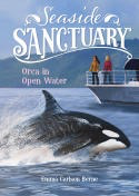 Seaside Sanctuary: Orca in Open Water