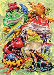 Family Puzzle - Frog Pile 350pc (2022)