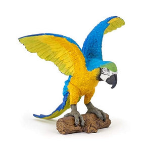 Blue-and-Yellow Macaw / Blue ara parrot
