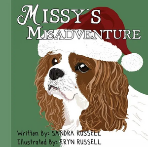 Missy's Misadventure