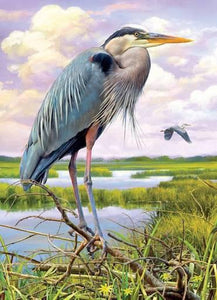 Heron 1000pc (2023)