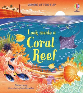 Usborne Lift-the-Flap: Look Inside a Coral Reef
