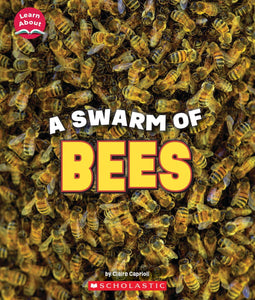 Learn About: A Swarm of Bees